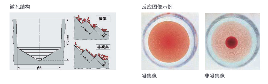 贝克曼库尔特全自动血型分析系统-阶梯型微孔板技术