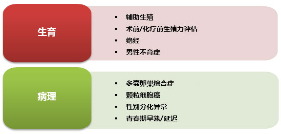 amh抗缪勒管激素在生殖和妇科内分泌疾病中的临床应用意义